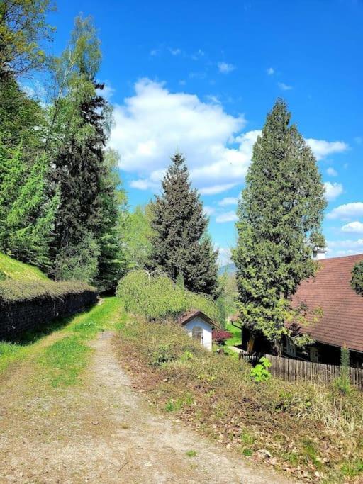 Roubenka U Kaplicky Villa Либерец Екстериор снимка